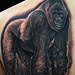Tattoos - Silverback Gorilla  - 72812